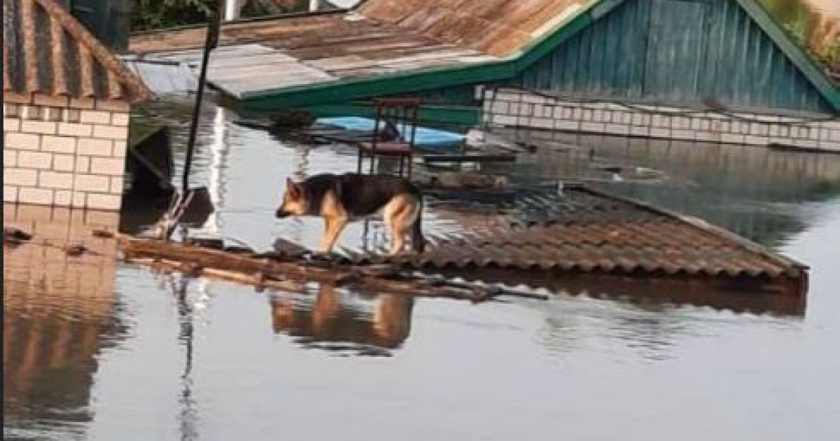 Херсон, потоп
